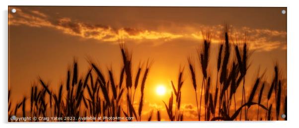 Golden Sunset Panoramic Acrylic by Craig Yates