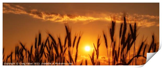 Golden Sunset Panoramic Print by Craig Yates