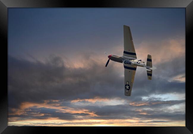 Mustang at Sunset Framed Print by Glen Allen