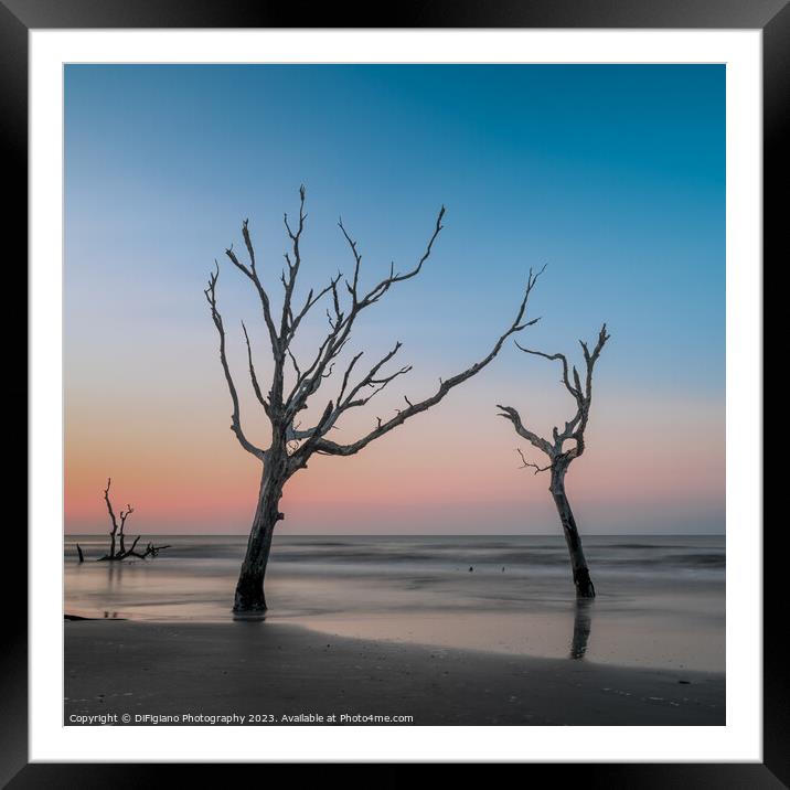 The Boneyard 23/3 Framed Mounted Print by DiFigiano Photography