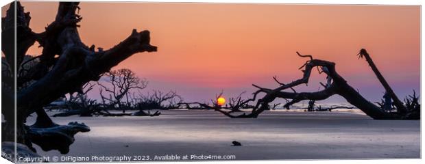 Boneyard Beach Sunrise Panorama Canvas Print by DiFigiano Photography