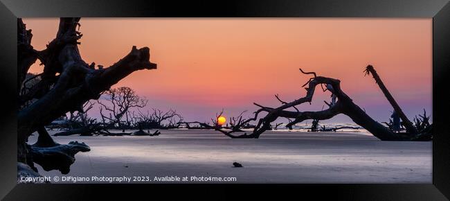 Boneyard Beach Sunrise Panorama Framed Print by DiFigiano Photography