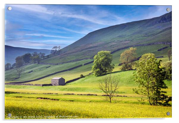 Golden Fields of Swaledale Acrylic by Jim Monk