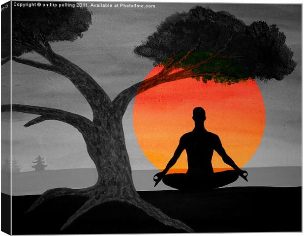 Sunset Meditation. Canvas Print by camera man