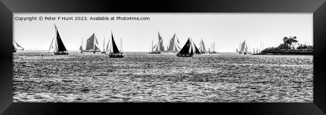 Sailing On The Blackwater Estuary Framed Print by Peter F Hunt