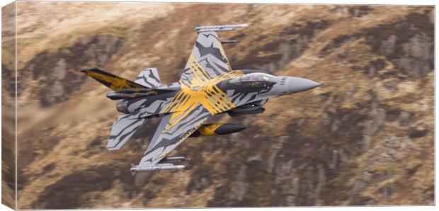 2021 F16 - XTM X-Tiger Canvas Print by Rory Trappe