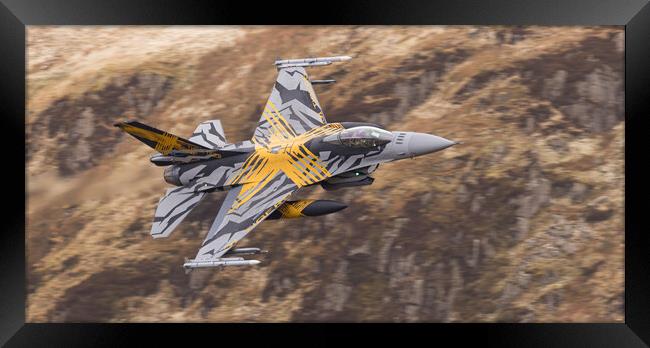 2021 F16 - XTM X-Tiger Framed Print by Rory Trappe