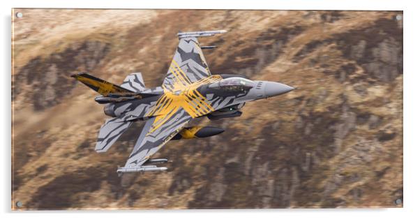 2021 F16 - XTM X-Tiger Acrylic by Rory Trappe