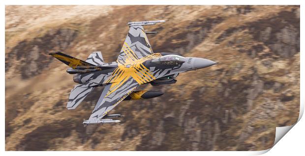 2021 F16 - XTM X-Tiger Print by Rory Trappe