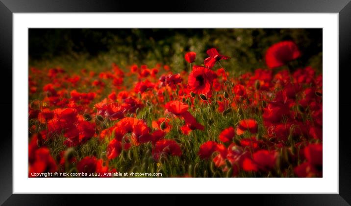 Poppies Framed Mounted Print by nick coombs