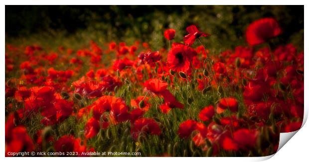 Poppies Print by nick coombs