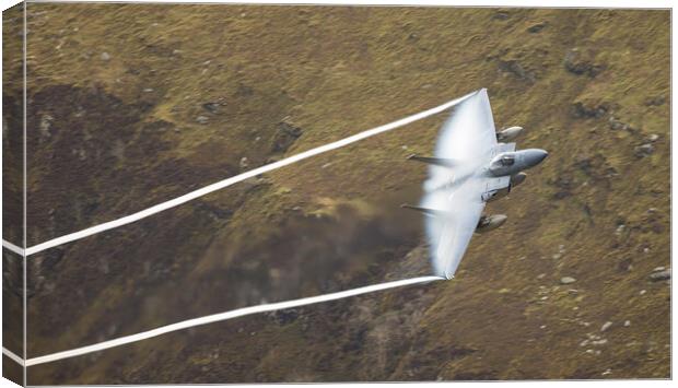 USAF F15 C low level Canvas Print by Rory Trappe