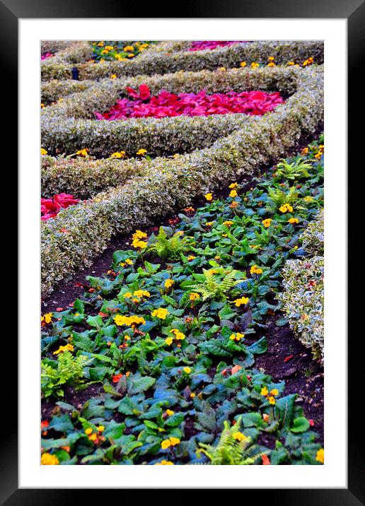 Serenity in Regents Park Framed Mounted Print by Andy Evans Photos
