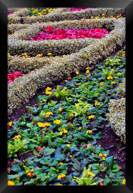 Serenity in Regents Park Framed Print by Andy Evans Photos