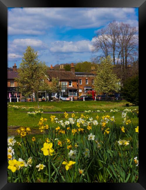 Hartley Wintney, Hampshire  Framed Print by Philip Enticknap