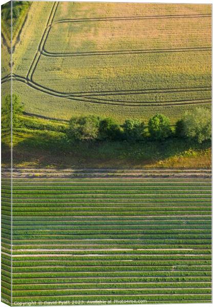 English Farm Aerial Landscape Canvas Print by David Pyatt