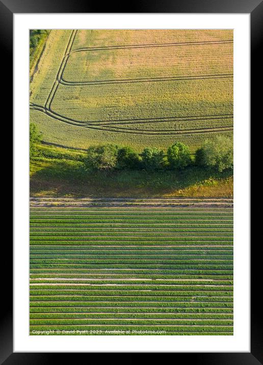 English Farm Aerial Landscape Framed Mounted Print by David Pyatt