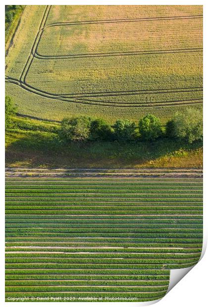 English Farm Aerial Landscape Print by David Pyatt