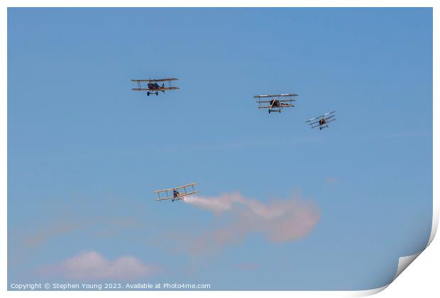 Vintage Biplanes and Triplanes Print by Stephen Young