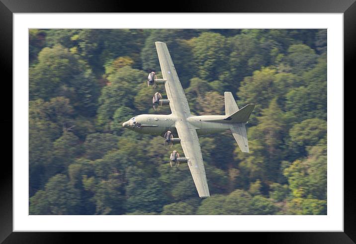 RAF Hercules C130J Framed Mounted Print by Rory Trappe
