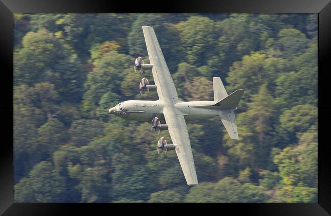 RAF Hercules C130J Framed Print by Rory Trappe