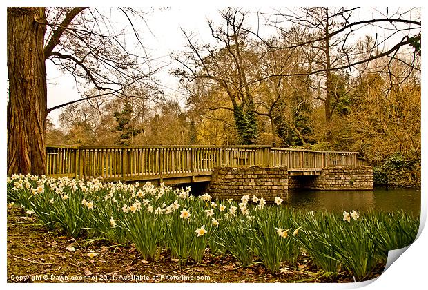 Mottingham Tarn Eltham Print by Dawn O'Connor