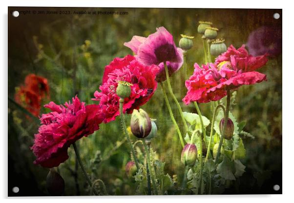 Vibrant Wild Poppies Acrylic by Jim Jones