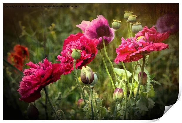 Vibrant Wild Poppies Print by Jim Jones