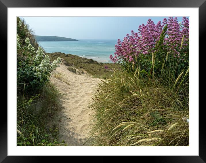 Colourful sand dunes of Crantock Framed Mounted Print by Tony Twyman