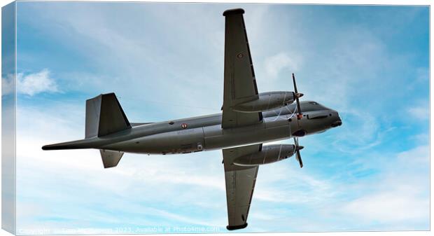 Striking French Navy Aircraft Canvas Print by Tom McPherson