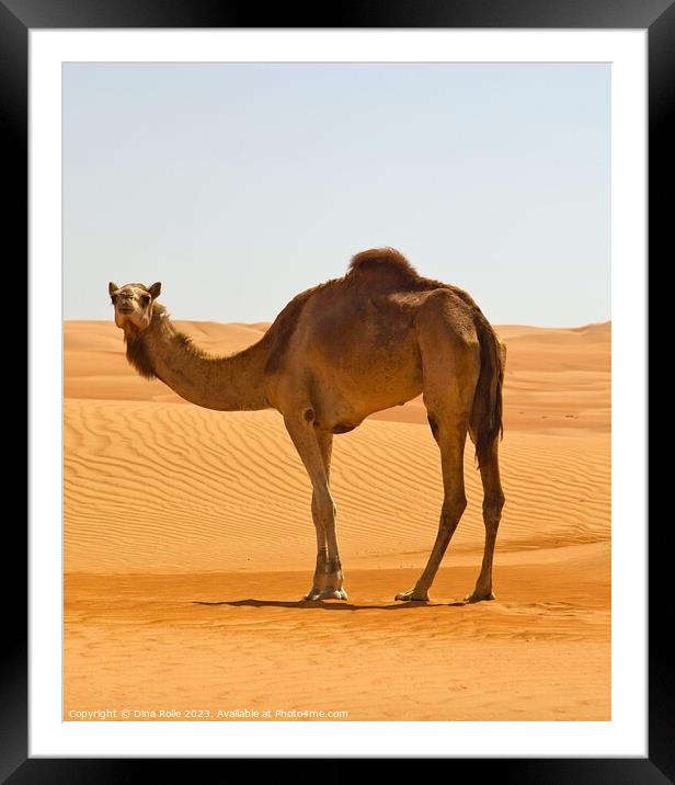 Beauty of the Namib Framed Mounted Print by Dina Rolle