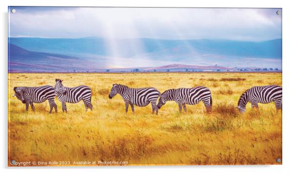 Zebras-African Wild Animals Acrylic by Dina Rolle