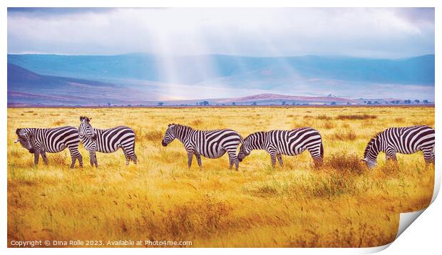 Zebras-African Wild Animals Print by Dina Rolle