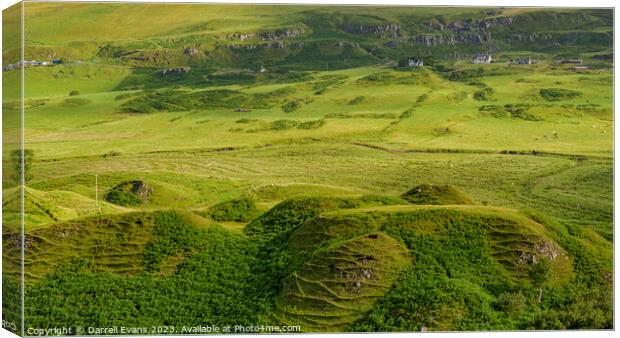 View from Fairy Glen Canvas Print by Darrell Evans