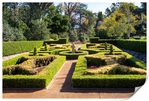 Toowoomba Botanic Gardens on Queens Park Print by Antonio Ribeiro