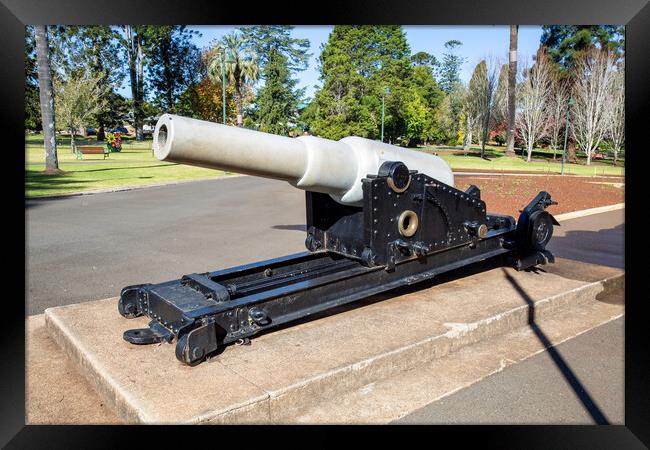 Toowoomba Naval Cannon on the Botanic Gardens Framed Print by Antonio Ribeiro