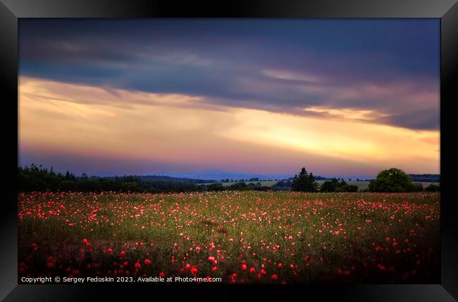 Poppy meadow Framed Print by Sergey Fedoskin