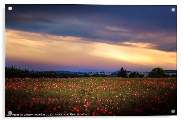 Poppy meadow Acrylic by Sergey Fedoskin