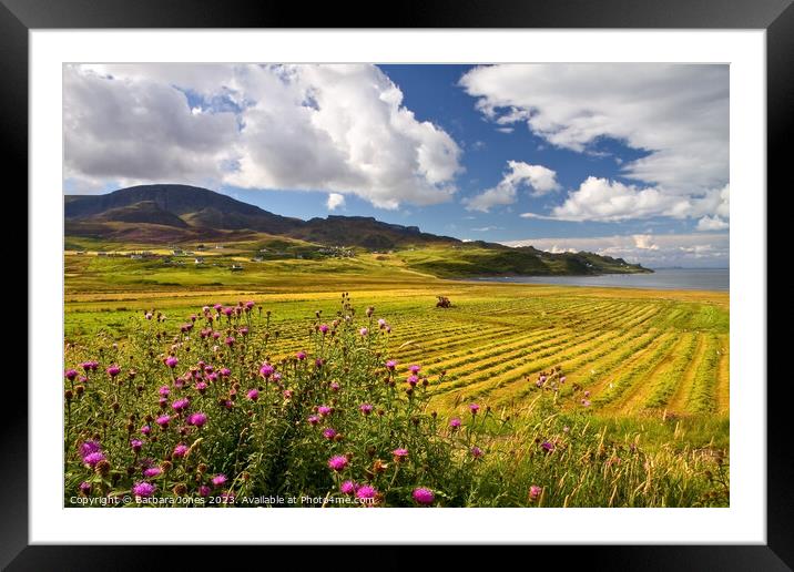 Staffin in late Summer, Isle of Skye, Scotland. Framed Mounted Print by Barbara Jones