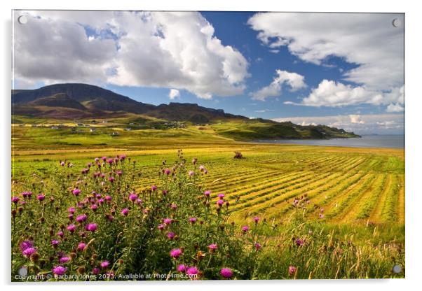 Staffin in late Summer, Isle of Skye, Scotland. Acrylic by Barbara Jones