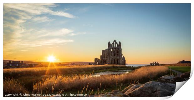 Whitby Abbey North Cliff Whitby North Yorkshire  Print by Chris Warren
