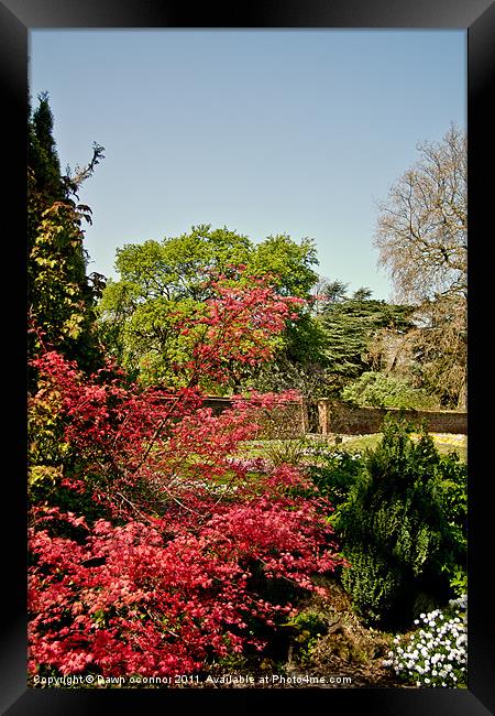Well Hall Pleasaunce Framed Print by Dawn O'Connor