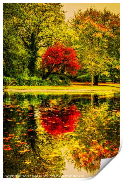 Autumnal Tranquility: St Stephen's Green, Dublin Print by Fabrice Jolivet