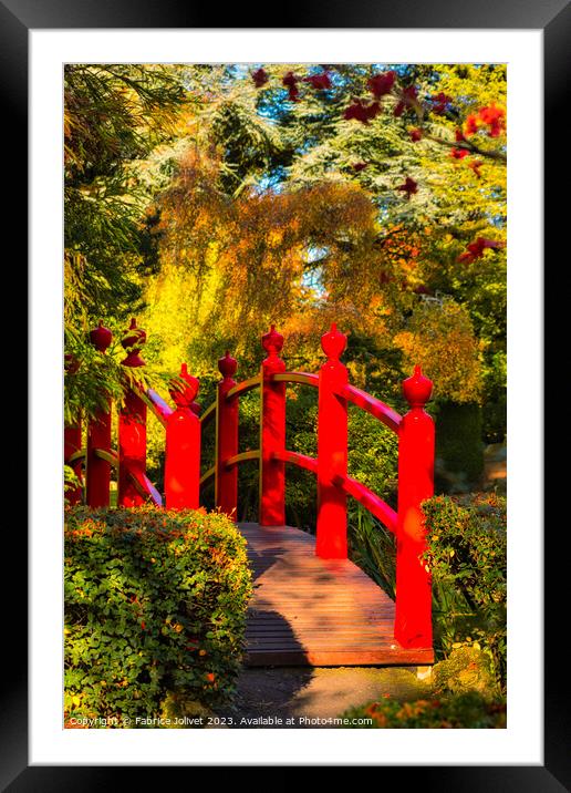 Ireland's Autumnal Rouge: A Mesmerising Landscape Framed Mounted Print by Fabrice Jolivet