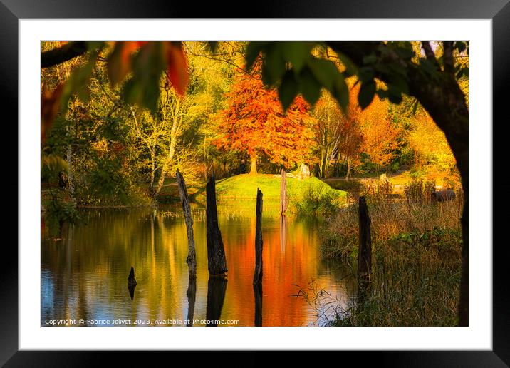 Autumn's Fiery Embrace, Irish Countryside Framed Mounted Print by Fabrice Jolivet