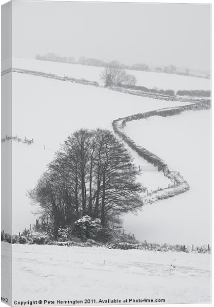 Winter scene Canvas Print by Pete Hemington