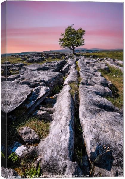 Yorkshire dales sunset 905  Canvas Print by PHILIP CHALK