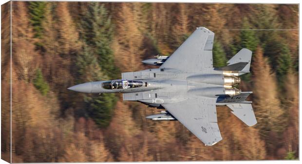 F15- Strike Eagle Canvas Print by Rory Trappe
