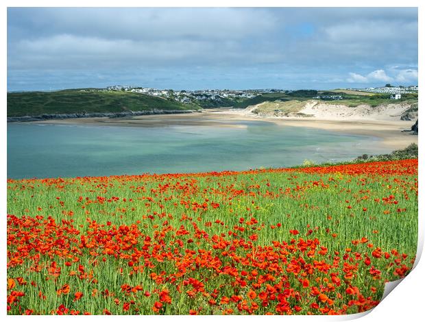 Vibrant Coastal Wildflower Oasis Print by Tony Twyman