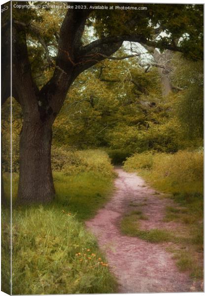 Woodland Walk Canvas Print by Christine Lake